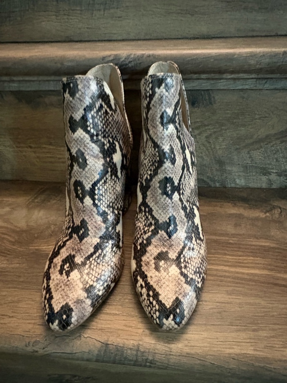 Steve Madden Snake-Print Pointed Toe Ankle Booties - Beige & Black